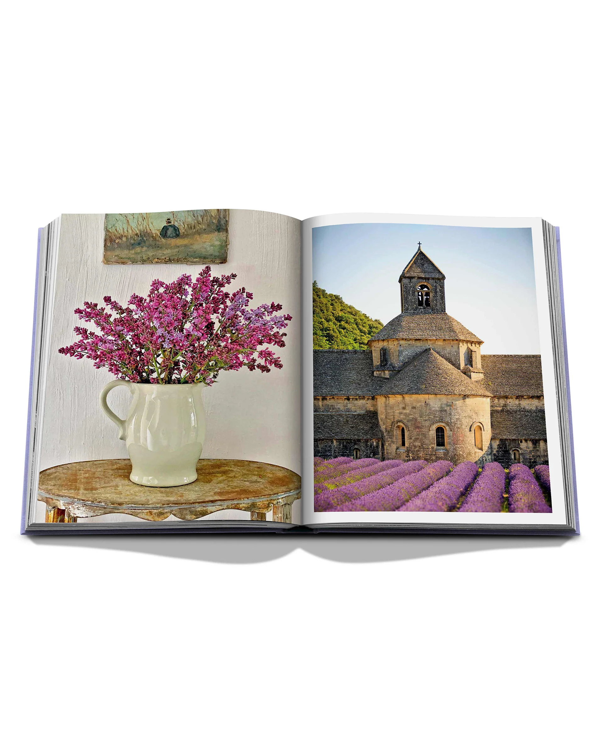 Provence Glory - Image 5